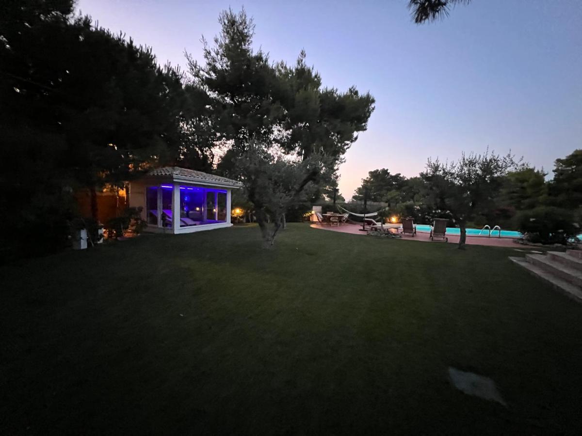 Villa Vittoria 维耶斯泰 外观 照片